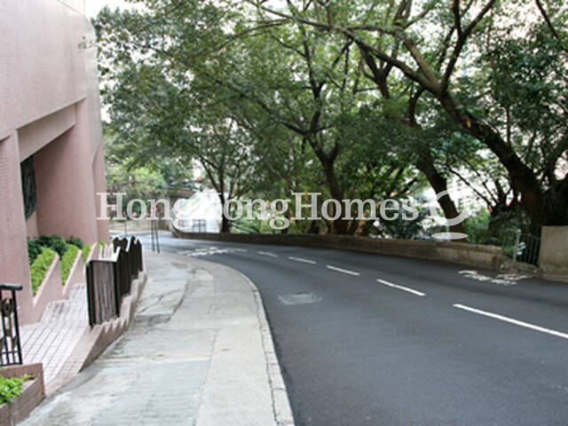 Nearby Road - Old Peak Road